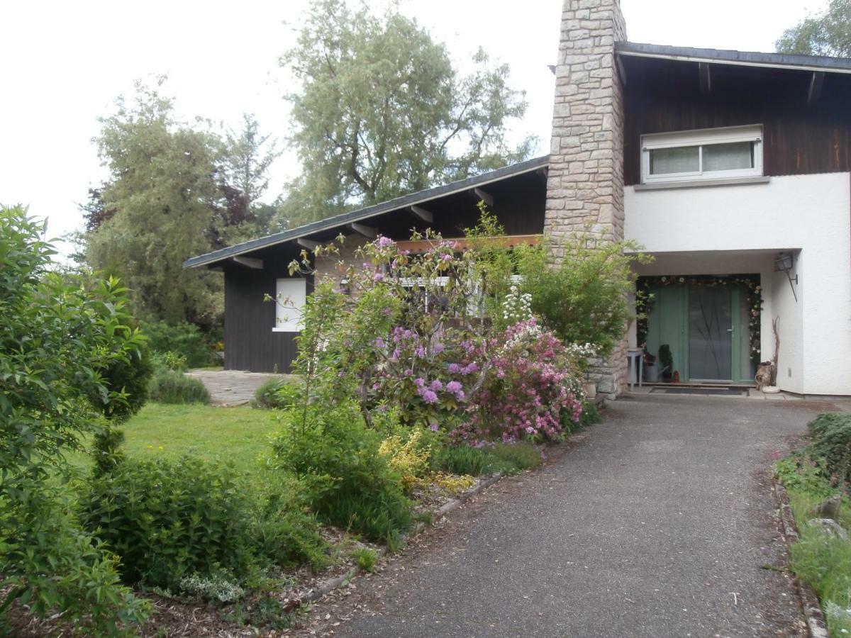 L'Echappee Belle A L'Etang D'Anty -Appartement Saint-Nabord Exterior photo